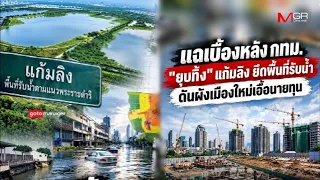 Exposing the truth: How Bangkok "scrapped" monkey cheeks, seized water retention areas, and pushe...