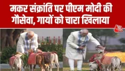 Makar Sankranti: मकर संक्रांति पर PM Modi ने अपने आवास पर गायों को चारा खिलाया | Delhi | Aaj Tak