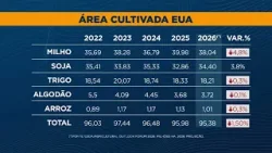 USDA divulga estimativas de plantio das principais culturas na próxima safra USDA divulga estimativas de plantio das principais culturas na próxima safra