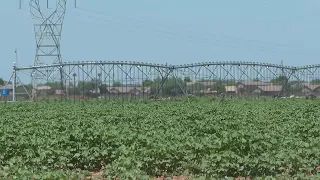 Heat and water concerns challenge Arizona farmers as Colorado River allocation decisions near