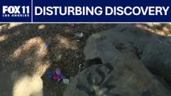 Skull found during Easter egg hunt in Long Beach | FOX 11 LA
