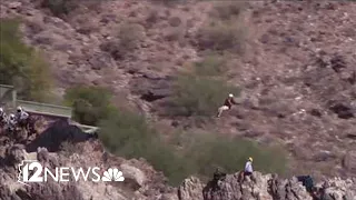 Famous Disney animator rescued by helicopter off Mummy Mountain in Paradise Valley