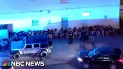 Florida officials post spring break busts on social media