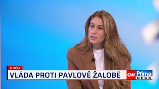 Decroix: Tejcova rétorika mě děsí. Snaha vyšachovat soudce Šámala do demokracie nepatří
