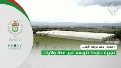 دعم غراسة الأرقان.. تجربة ناجحة تتوسع عبر عدة ولايات