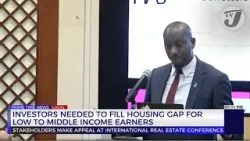 Investors Needed to Fill Housing Gap for Low to Middle Income Earners | TVJ News