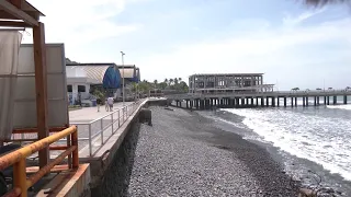 Merchant expectations following the reopening of Surf City