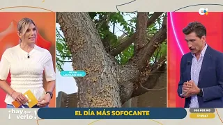 Hay que verlo | 26/05/26