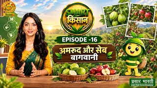 Smart Kisan: Guava and Apple Gardening | EP-16 | 18/09/2029