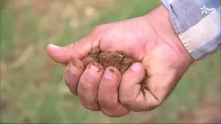 رهانات العمل الحكومي بعد الانتخابات..تطوير القطاع الفلاحي واستدامة سلاسل الإنتاج في صلب الأولويات