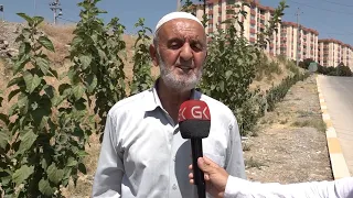 خۆبەخشێك هەموو بەیانییەك ئاوی درەختەكانی گەڕەكەكەی دەدات