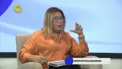 GV Stellar Report | Interview with José Agustín Campos (2/3)