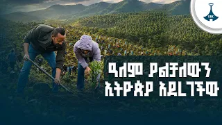 ዓለም ያልቻለውን ኢትዮጵያ አደረገችው | የአረንጓዴ አሻራ ንቅናቄ ዓለም አቀፋዊ ፋይዳ | Green Legacy | Global Climate Action |