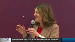 Molise News at 2:00 PM – 09/18/2026