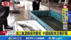 泡工業酒精保持賣相 中國麻醉魚恐傷肝腎|國際關鍵字20260401|三立iNEWS 泡工業酒精保持賣相 中國麻醉魚恐傷肝腎|國際關鍵字20260401|三立iNEWS