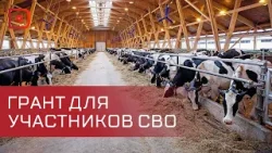 С 2025 года в России вводится грант на запуск своего дела в сельском хозяйстве для участников СВО