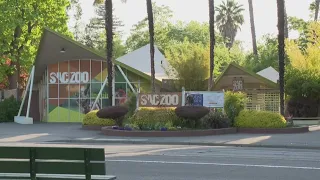 Excessive heat prompts early weekend closure at Sacramento Zoo