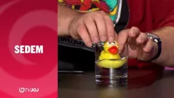 Prečo a ako vysvetľovať svoje problémy gumenej kačičke (SEDEM)