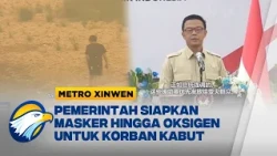 Metro Xinwen - Karhutla Meluas, Pemerintah Bantu 35 Kabupaten dan Kota