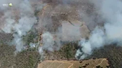 Incendios forestales arrasan más de 3.000 hectáreas en México