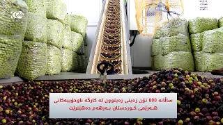 ساڵانە 800 تۆن زەیتی زەیتوون لە کارگە ناوخۆییەکانیهەرێمی کوردستان بەرهەم دەهێندرێت