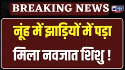 Nuh जिले के गांव बसई में एक नवजात शिशु झाड़ियों में पड़ा मिला। INDIA News Haryana