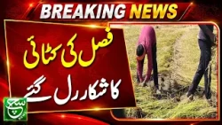 What Happened During Crop Cutting | Such News