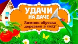 Удачи на даче. Как обрезать деревья зимой (19.02.2026)