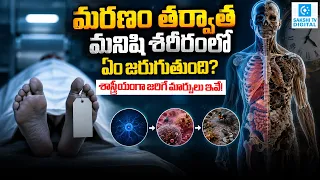What Happens to the Human Body After Death? | Hour-by-Hour Science of Death | Sakshi Digital |