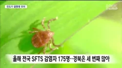 [R] SFTS Death Reported in Andong... Caution Advised Against Ticks During Fall Harvest Season