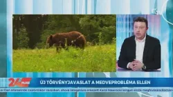 24plusz: Több medvét lehet kilőni idén?