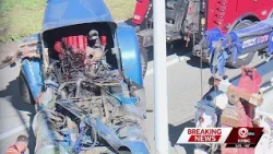 More than 120 cattle involved in I-70 crash, dozens escape into downtown Kansas City
