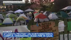 Pro-Palestinian protesters remain at Northwestern University's Evanston campus