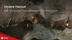 Unsere Heimat: Das Fränkische Freilandmuseum Bad Windsheim