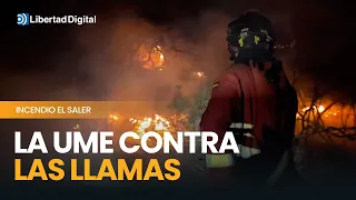 La UME combate las llamas en el incendio forestal de El Saler