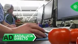 Andalucía Directo | Inteligencia Artificial para clasificar tomates con precisión milimétrica
