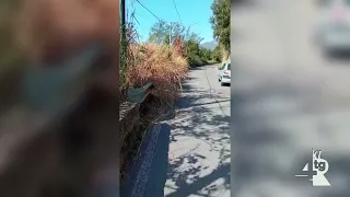 Tall grass on the roadside, danger for pedestrians and drivers between Dupino and SS Quaranta