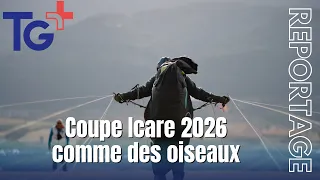 Report - Coupe Icare 2026: Like birds