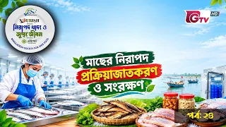 মাছের নিরাপদ প্রক্রিয়াজাতকরণ ও সংরক্ষণ | নিরাপদ খাদ্য ও সুস্থ জীবন | EP-24 | BSSF | GTV