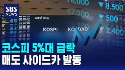 KOSPI Plummets Over 5%... Sell-side Sidecar Triggered / SBS 12 PM News