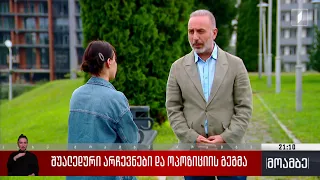 შუალედური არჩევნები და ოპოზიციის გეგმა