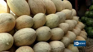 Increase in melon and watermelon shipments | صادرات خربوزه و تربوز به بازارهای بیرونی افزایش یافت