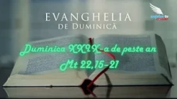 SUNDAY GOSPEL - 29th Sunday in Ordinary Time