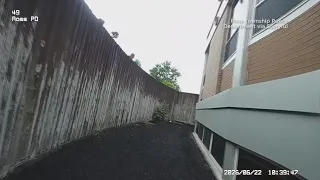 Police officer in Pittsburgh shows nifty reflexes to grab deer
