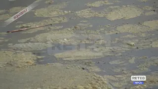 Mucillagine Abruzzo - Arpa: "Nessun pericolo per i bagnanti"