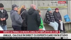 Grevă spontană la ferma afaceristului vasluian Fănel Bogos!