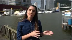 Rio Camboriú: Balneário Camboriú intensifica ações para proteger a principal fonte de vida da cidade