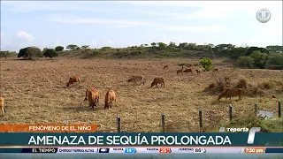 Radiografía del Fenómeno de El Niño