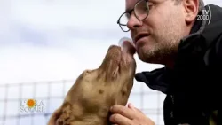 L'Ora Solare (TV2000) Fondazione Cave Canem recupera cani problematici L'Ora Solare (TV2000) Fondazione Cave Canem recupera cani problematici