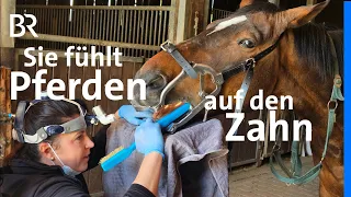 Auf den Zahn gefühlt: Mobile Pferdezahnärztin | Schwaben + Altbayern | BR